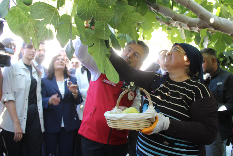 Bakan hasada katıldı: Rekolte beklentisi açıklandı - Resim : 8
