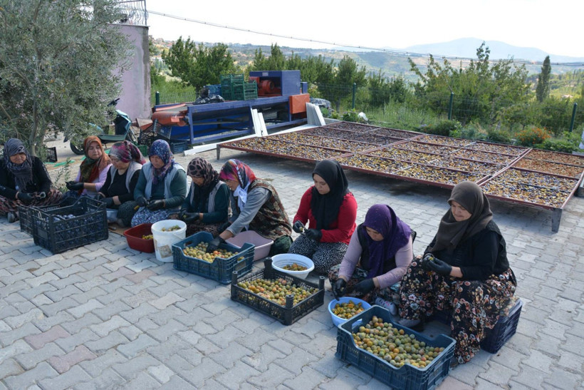 Böbreklerin kalkanı: Mora’dan Demirci’ye 138 yıllık yolculuk - Resim: 5