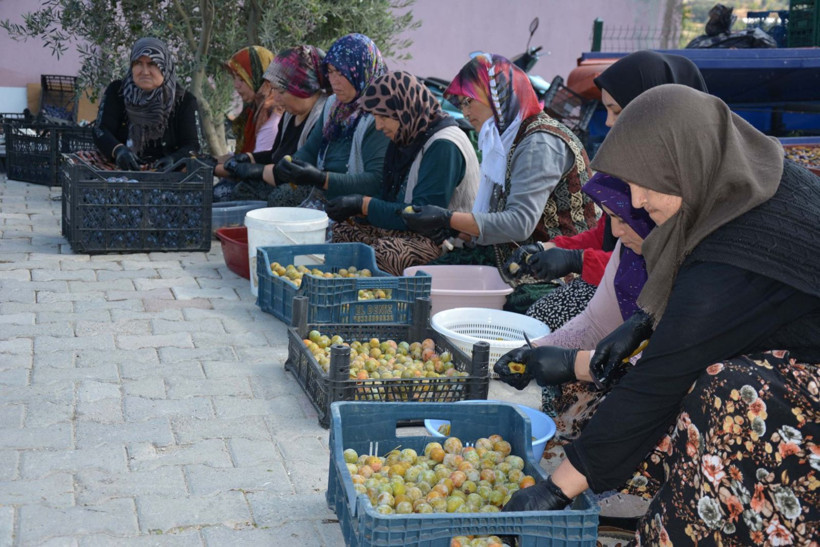 Böbreklerin kalkanı: Mora’dan Demirci’ye 138 yıllık yolculuk - Resim: 10