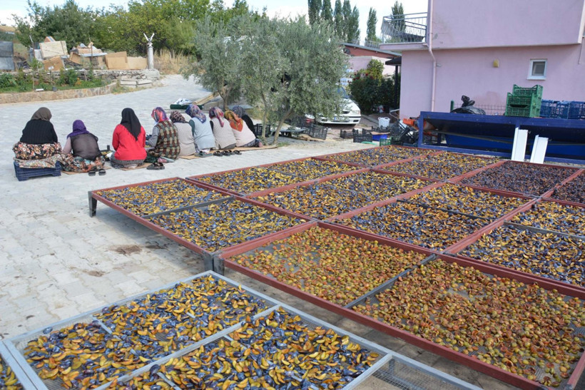 Böbreklerin kalkanı: Mora’dan Demirci’ye 138 yıllık yolculuk - Resim: 9