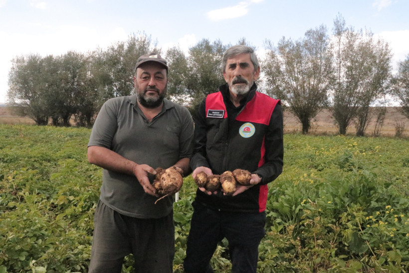 Türkiye'nin en son patates hasadı başlıyor: Rekor rekolte bekleniyor - Resim : 2