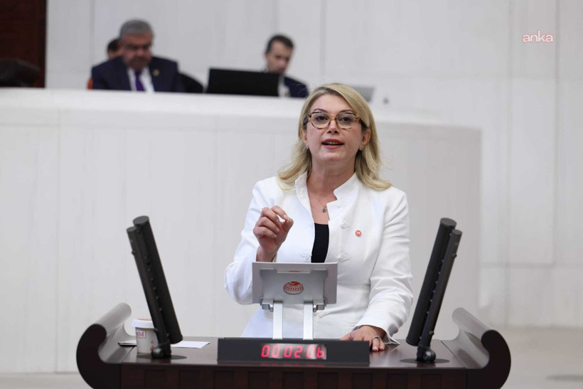 Asu Kaya'dan 2027 bütçesi açıklaması: 195 bin çocuk desteğe ihtiyaç duyacak - Resim : 1