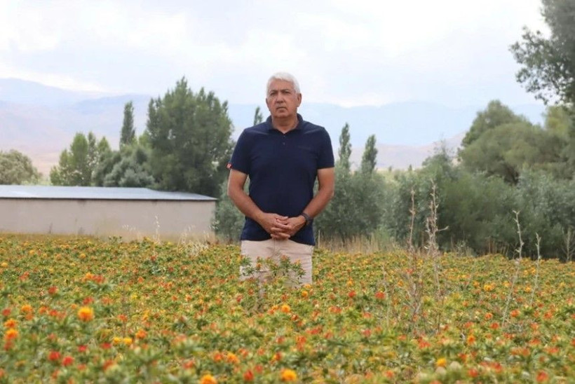 35 yıl kamuda çalıştı, emekli olunca şans eseri tanıştığı bitkiyle patron oldu - Resim: 9