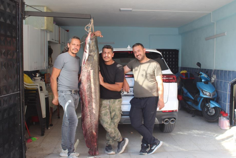 Balıkçıların oltasına 'kuzu' takıldı: Tam 45 kilo - Resim: 7