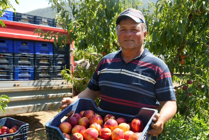 Fiyat geçen senekinin üçte biri: Yüzde 70’i yurt dışına yollanıyor - Resim: 1