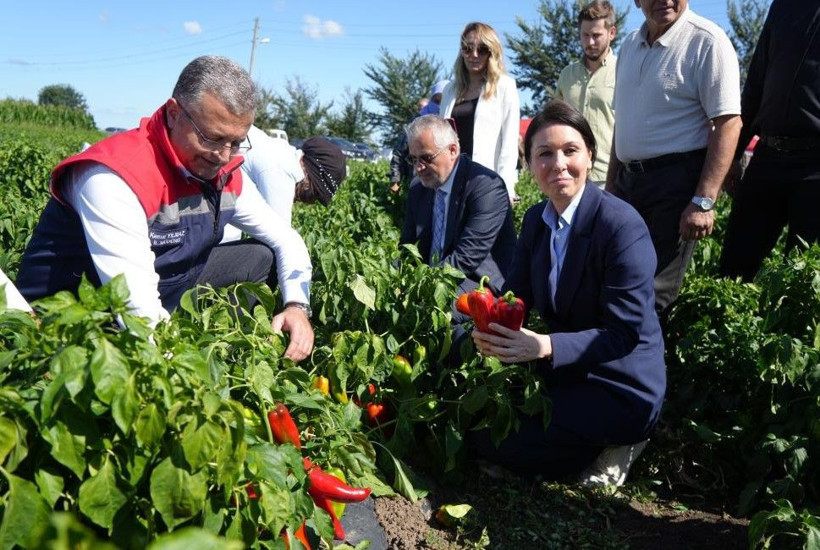 Kırmızı altında hasat başladı: Bir ilimize 4 milyar TL katkı - Resim: 14