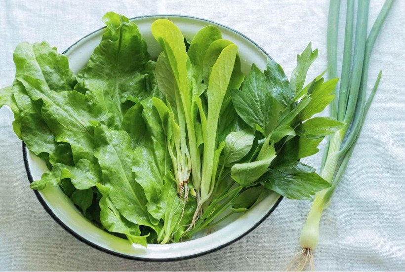 Dağlarda bedava büyüyor, tezgâhta kapış kapış gidiyor: Doğanın gizli antibiyotiği tam burnunuzun dibinde - Resim: 2