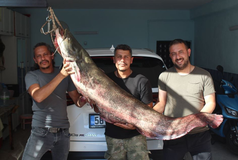 Balıkçıların oltasına 'kuzu' takıldı: Tam 45 kilo - Resim: 10