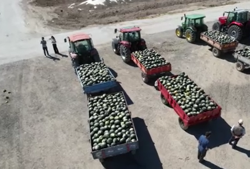 Su istemiyor, 50 ton bekleniyor: Tek bir ile özgü - Resim: 7