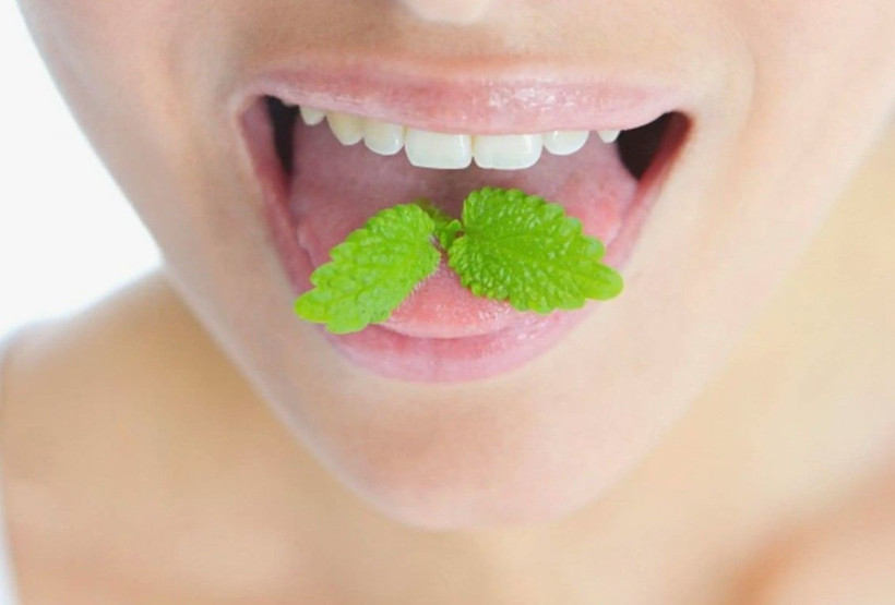 Ağız kokusunu anında sıfırlayan 5 etkili yöntem: Nefesiniz mis gibi kokacak - Resim: 5