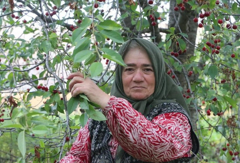 Mühendisin tavsiyesiyle başladı: Bu yıl 3 ton hasat edecek - Resim: 5