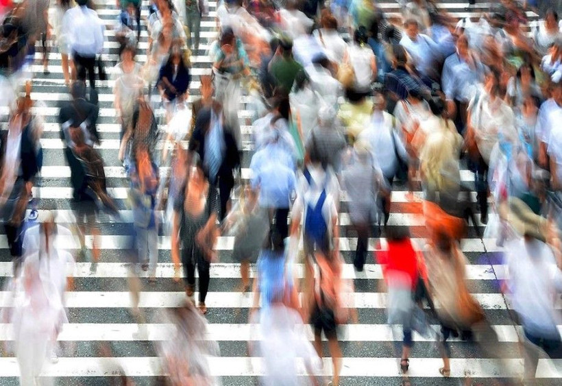 Vatandaşlık maaşın hangisi olacak? 3 formül ortaya çıktı - Resim: 6