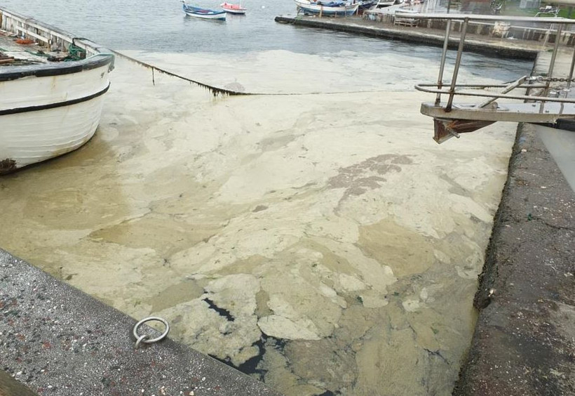 “Marmara ölü değil ama ağır hasta”: Müsilajın esas nedeni açıklandı - Resim: 9