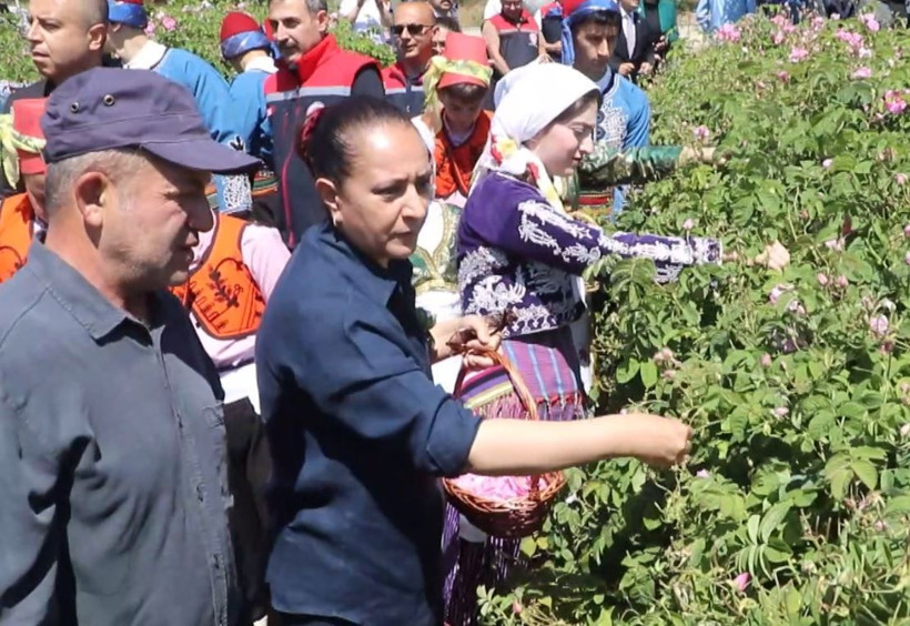 Vali sepetini aldı, bahçeye indi: Burdur’da masalsı hasat başladı - Resim: 13