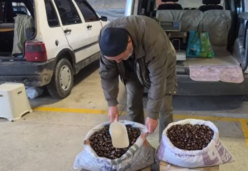Tescilli üründe bu sene bereket var: Kilosu 300 lira - Resim: 13