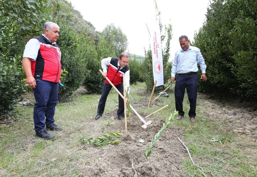 Doğal antibiyotikte hamle: Topraktan milyon dolarlık gelir - Resim: 3
