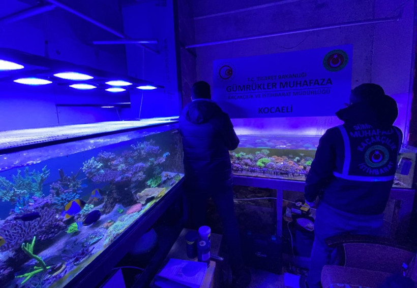 Ticaret Bakanlığı duyurdu: 85 binden fazla hayvan sınırda ele geçirildi - Resim : 2