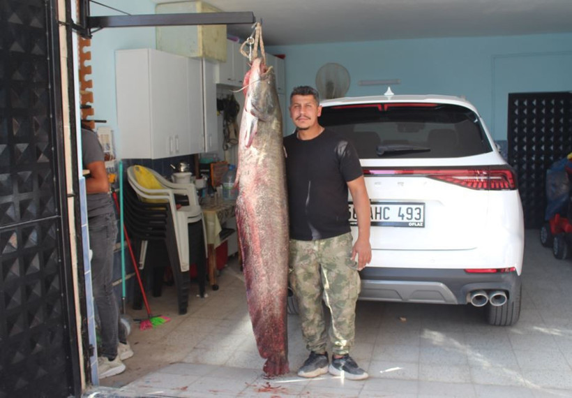 Balıkçıların oltasına 'kuzu' takıldı: Tam 45 kilo - Resim: 8