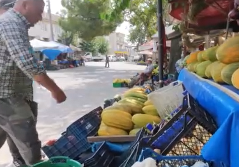 Tavan arasından çıkan efsane kavunu canlandırdı: Ata tohumu tekrar pazarda - Resim: 9