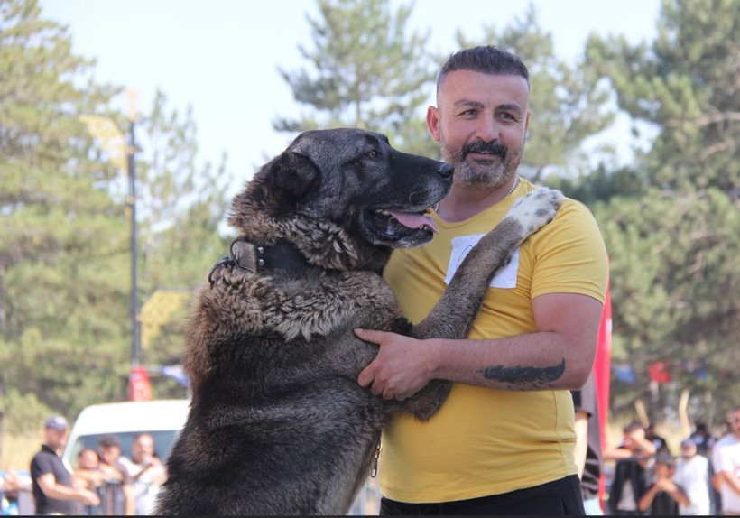 Sadakatleri ve güçleriyle podyumu salladılar: İşte Sivas'ın en güzel kangalları - Resim: 4
