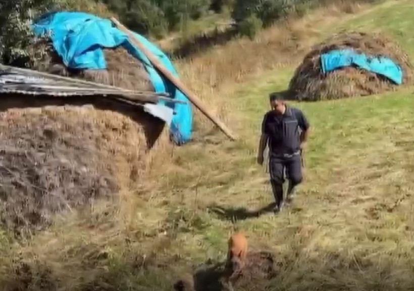 Artvin'de film sahnelerini aratmayan av: Cani adam 30 yıl sonra ininden çıkarıldı - Resim: 3
