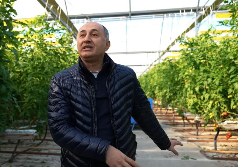O ürünü hasat etti, şimdi servet kazanıyor: Bu sera dünyayı doyuruyor - Resim: 12