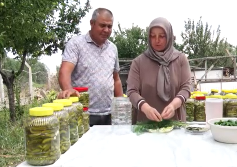 5 kilosu 900 lira: Çubuk turşusu bu sene de Ankara’nın dünyaya açılan kapısı olacak - Resim: 12