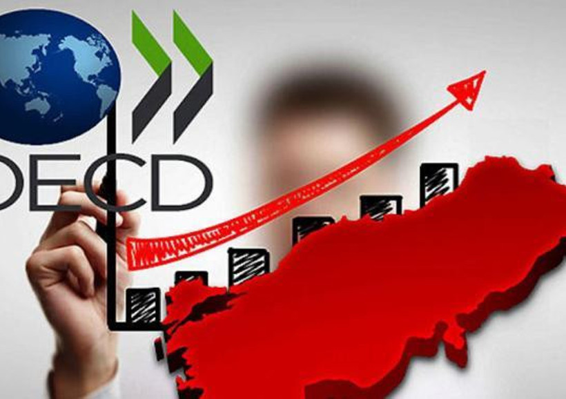 Türkiye enflasyonda dünyayı 7'ye katladı: OECD resmen açıkladı - Resim : 3
