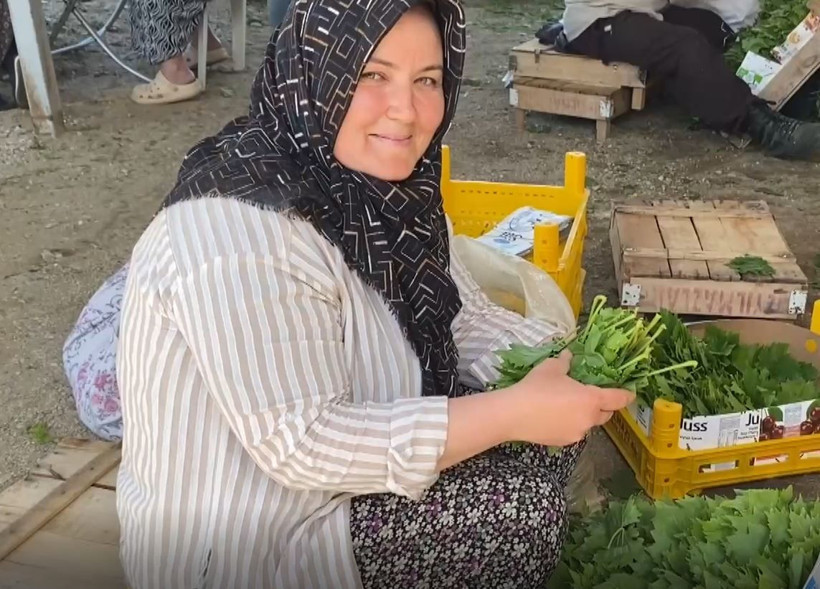 Yeşil altın toplanmaya başlandı: Dubai de istiyor Amerika’da - Resim: 15