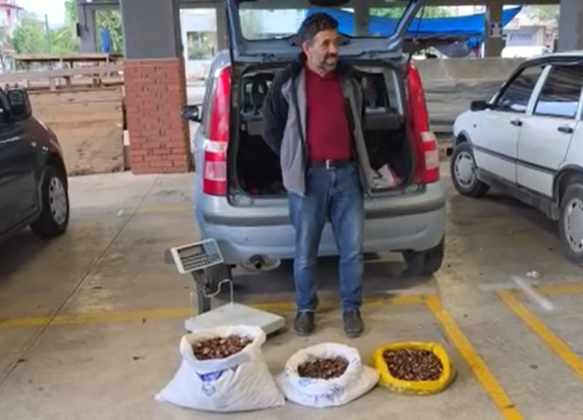 Tescilli üründe bu sene bereket var: Kilosu 300 lira - Resim: 11