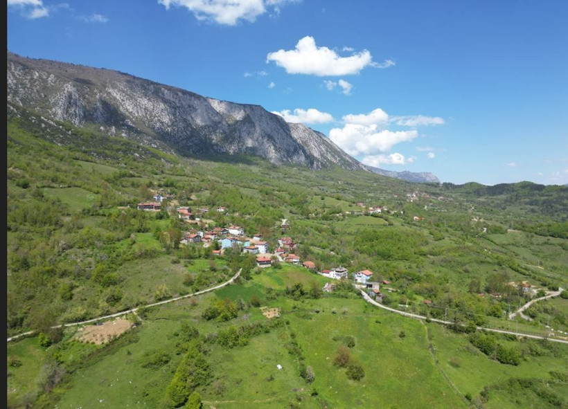 Yeşilin binbir tonu: Küre Dağları’nda bahar masalı - Resim: 3