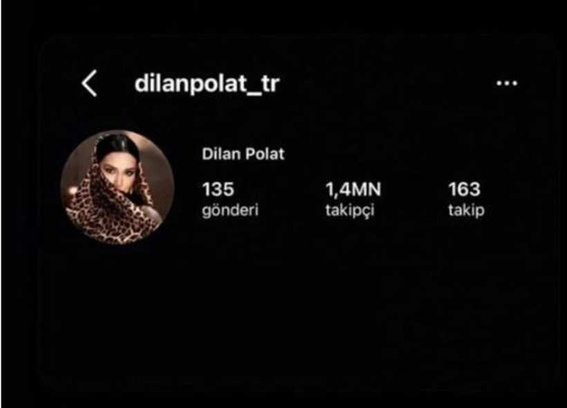 Dilan Polat’a sosyal medya şoku: Tüm hesaplara erişim engeli - Resim : 3