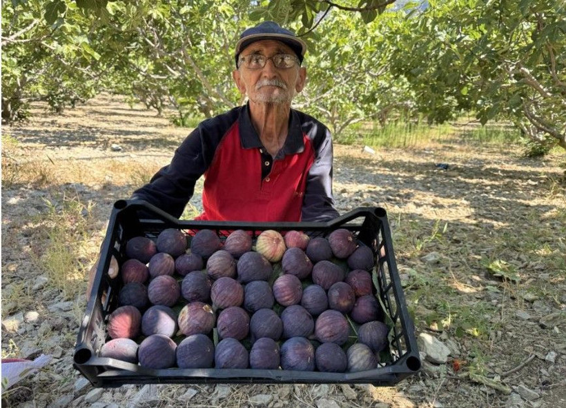 Tarlada 50 lira pazarda 80 liradan satılıyor: Düşük rekolte fiyatı vurdu - Resim: 13