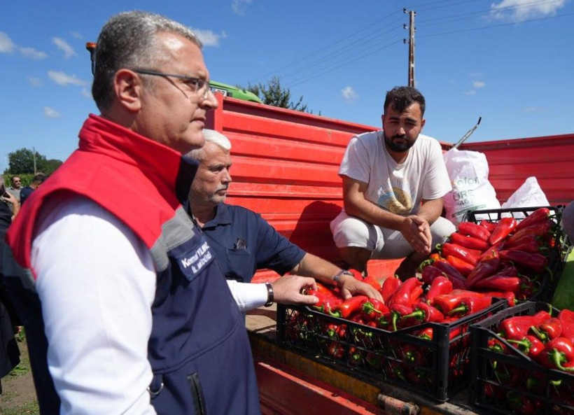 Kırmızı altında hasat başladı: Bir ilimize 4 milyar TL katkı - Resim: 4