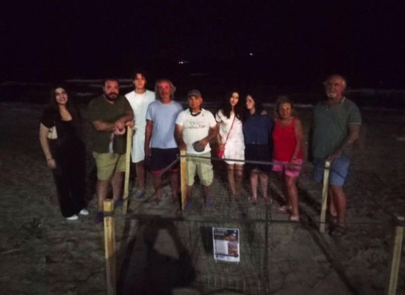 Gece yarısı kumsala çıktı: Saatler süren mücadelenin ardından yuvasını yaptı - Resim : 1