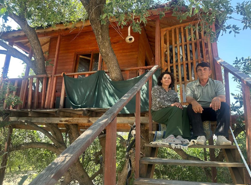 Asırlık ağaçta adeta mimari yapı: Dallar evin içinden geçiyor - Resim: 7