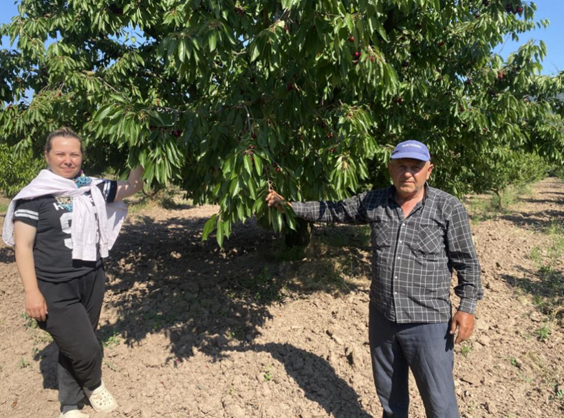 Tarlada 30, pazarda 250 lira: Dünya peşinden koşuyor - Resim: 7
