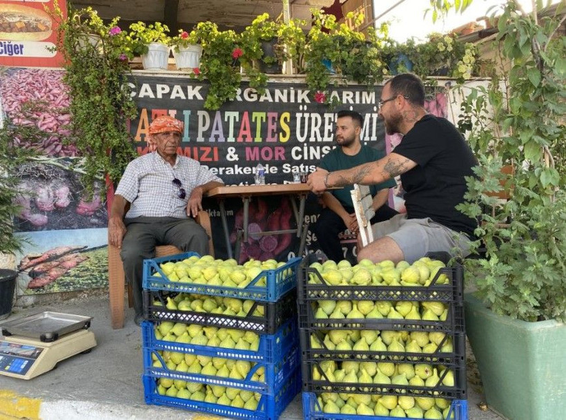Kilosu 350 liradan kapış kapış satılıyor: Dev hasat başladı - Resim: 5