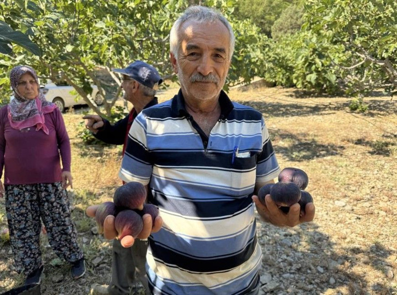 Tarlada 50 lira pazarda 80 liradan satılıyor: Düşük rekolte fiyatı vurdu - Resim: 15