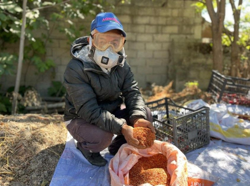 Kilosunu 400 TL'den satıyor: 5 dönümlük bahçede 300 bin lira kazanıyor - Resim: 3