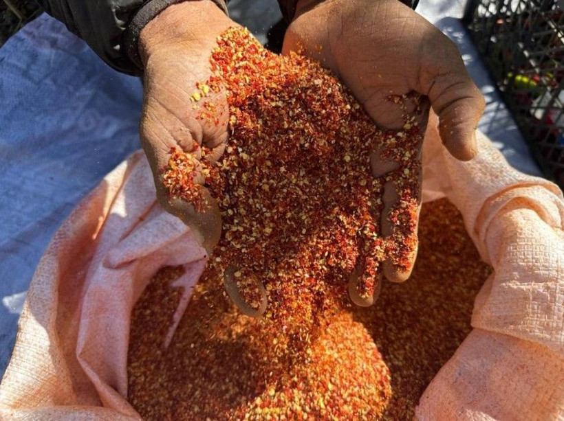 Kilosunu 400 TL'den satıyor: 5 dönümlük bahçede 300 bin lira kazanıyor - Resim: 8