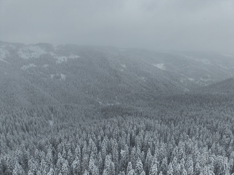 Gökyüzünden Ilgaz manzaraları: Sis ve karın muhteşem dansı - Resim : 6