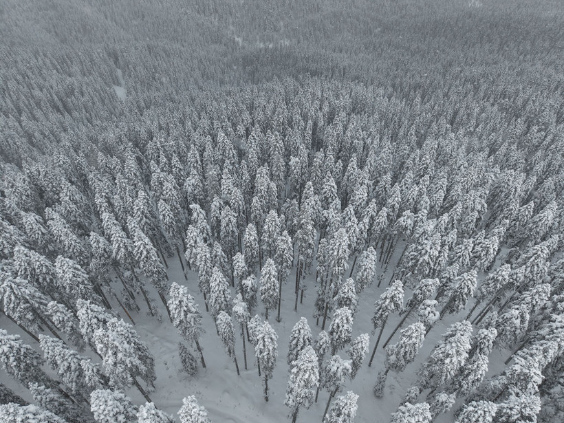 Gökyüzünden Ilgaz manzaraları: Sis ve karın muhteşem dansı - Resim : 5