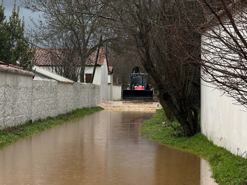 Muğla’da yürekleri yakan haber: Aranıyordu saatler sonrası ağaçta bulundu - Resim : 5