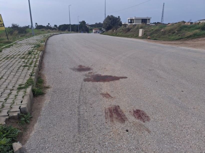 1 kadın 1 erkek öldürüp yola attılar: Vahşetin perde arkası 9 mermide saklı - Resim : 5