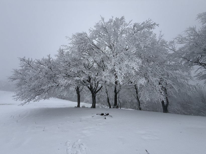 Ganos Dağı beyaza büründü: Ormanlar masal diyarına dönüştü - Resim: 2