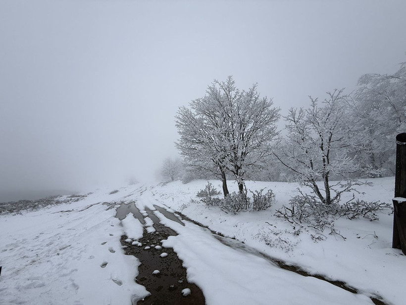Ganos Dağı beyaza büründü: Ormanlar masal diyarına dönüştü - Resim: 10