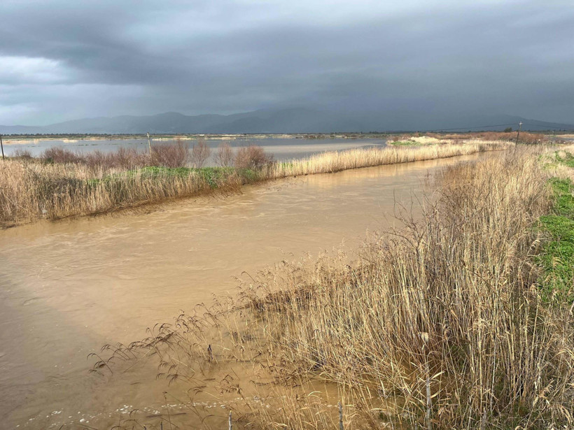 Nehir Taştı, hayat durdu: Söke Ovası sular altında kaldı - Resim : 2