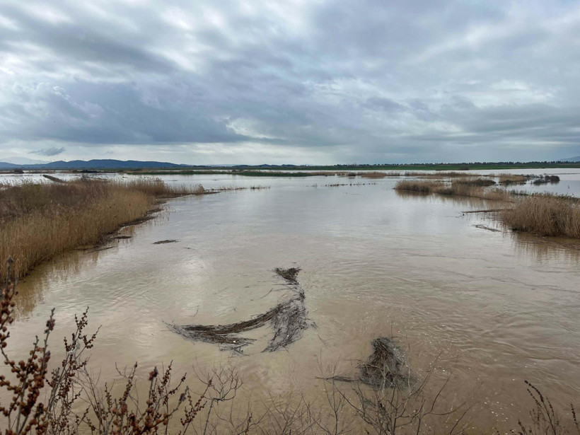 Nehir Taştı, hayat durdu: Söke Ovası sular altında kaldı - Resim : 3