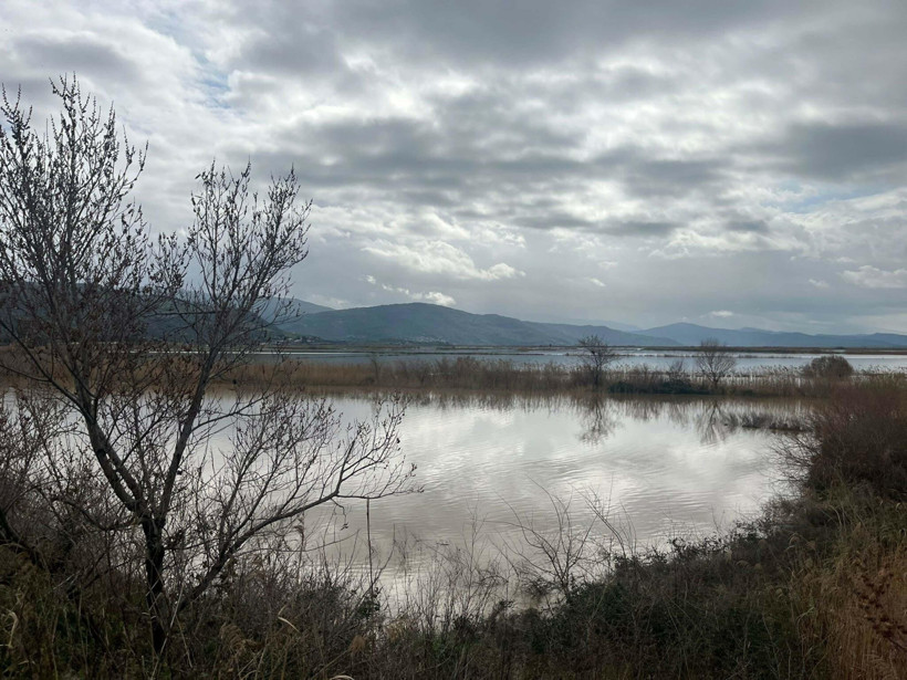 Nehir Taştı, hayat durdu: Söke Ovası sular altında kaldı - Resim : 4